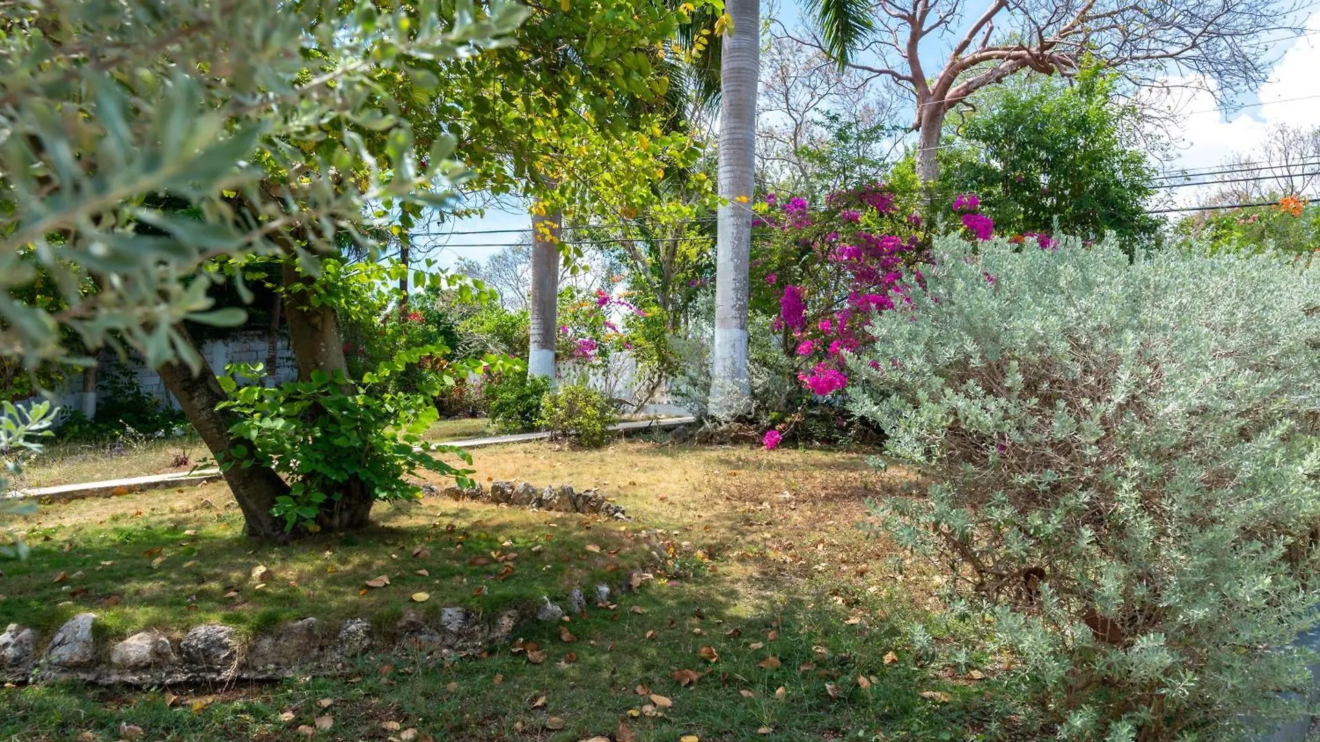 The Carhampton Villa Montego Bay Jamaïque