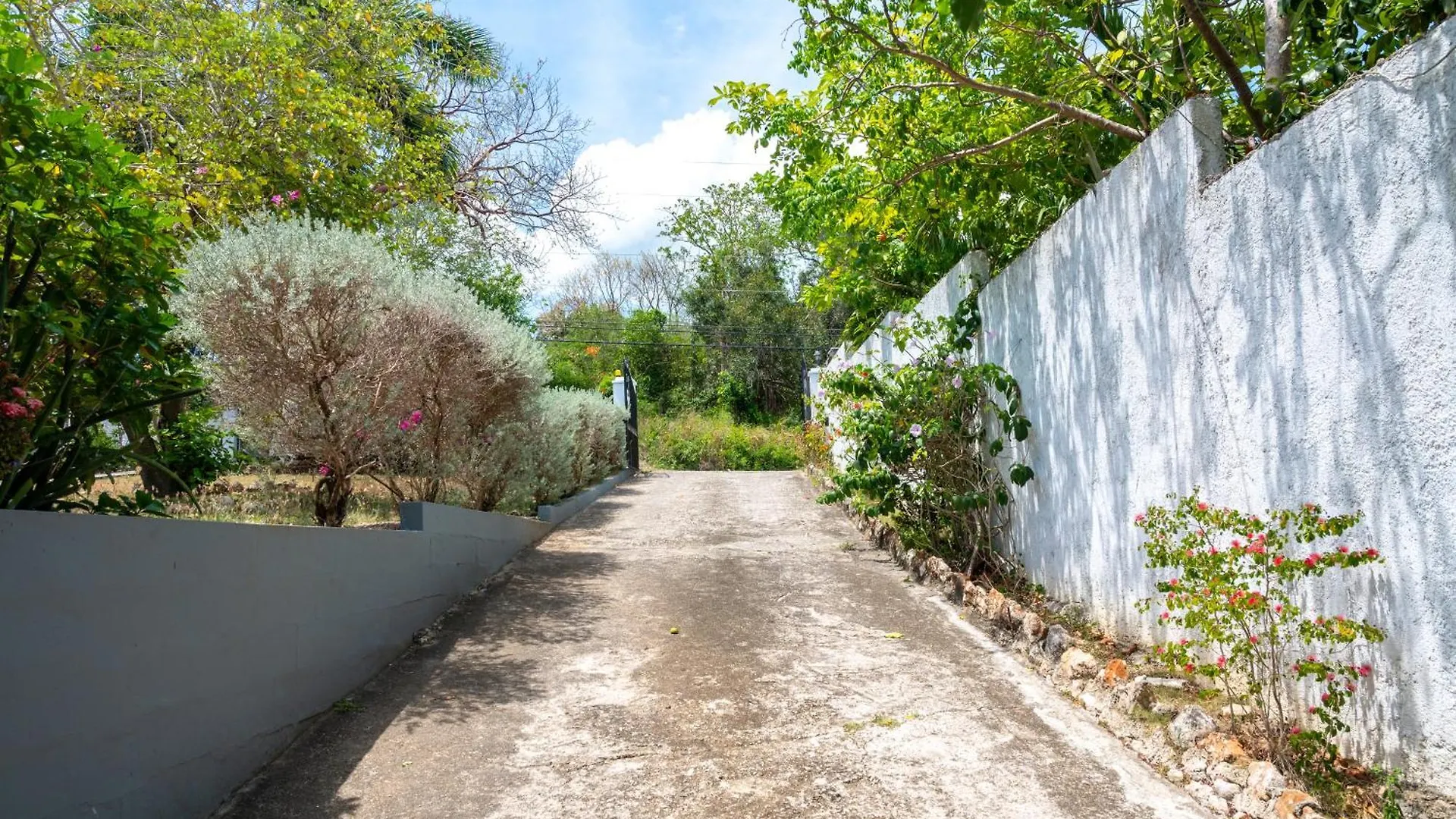 מונטגו ביי The Carhampton Villa בית הארחה
